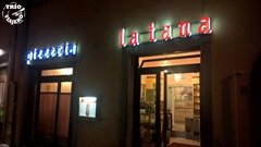 italia pisa pizzeria tana fachada thumb
